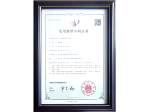 Honorary qualifications