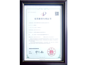 Honorary qualifications